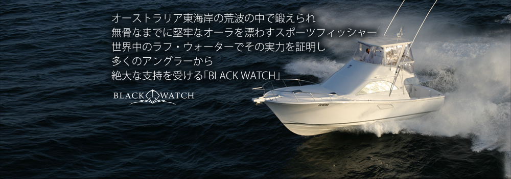 ページタイトル