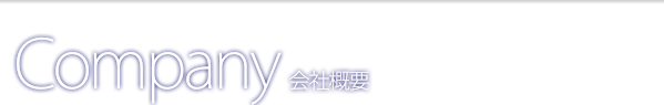 ページタイトル