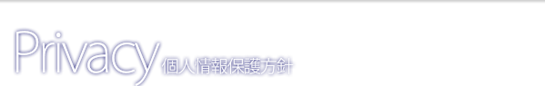 ページタイトル